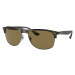 Ray-ban Occhiali da Sole RB4342 710/73 Hnědá