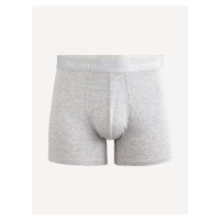 Binormal Boxerky Celio