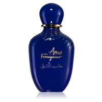 Salvatore Ferragamo Amo Ferragamo Oriental Wood parfémovaná voda pro ženy 100 ml