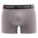 Tommy Hilfiger Flex Trunk