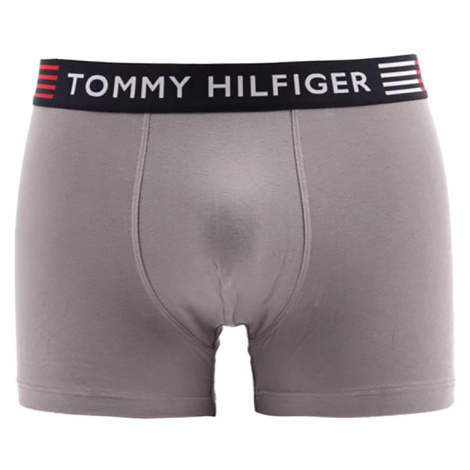 Tommy Hilfiger Flex Trunk