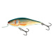 Salmo Wobler Executor Shallow Runner 12cm - Real Dace