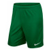 Šortky Nike Park II Zelená