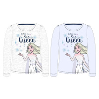 Frozen - licence Dívčí tričko - Frozen 52029007, světle šedý melír Barva: Šedá
