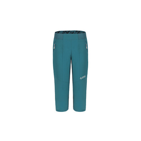 Dámské lezecké 3/4 kalhoty Direct Alpine Cervino Lady 3/4 Emerald