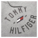 Tommy Hilfiger VARSITY GRAPHIC HOODY Pánská mikina, šedá, velikost