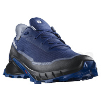 Salomon Alphacross 5 GTX M L47309200 - blue print/lapis blue/white