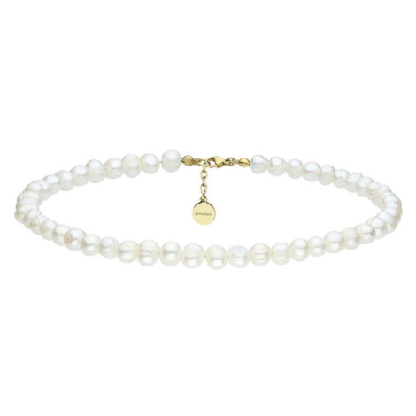 Manoki Perlový choker náhrdelník Antonella Gold - chirurgická ocel, perla WA514G Zlatá 36 cm + 5