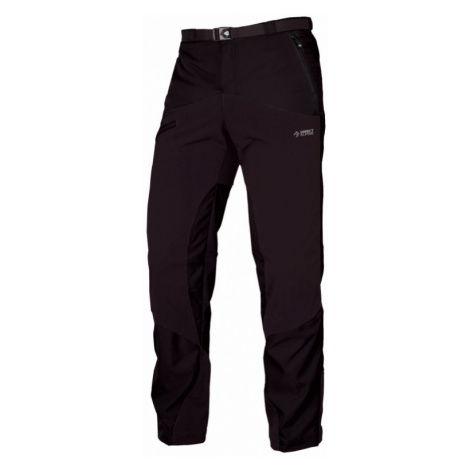 Kalhoty Direct Alpine Mountainer 4.0 black/black