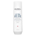 Goldwell Šampon pro větší objem Dualsenses Ultra Volume (Bodifying Shampoo) 250 ml