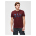 Barevné pánské tričko GAP Logo basic arch, 2ks