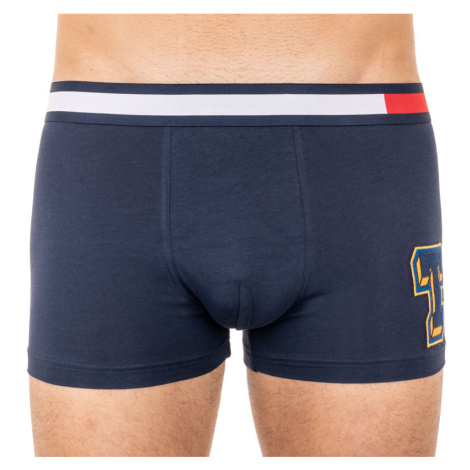 Pánské boxerky Tommy Hilfiger vícebarevné (UM0UM01549 416)