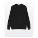 LC Waikiki Crew Neck Long Sleeve Men's Knitwear Sweater