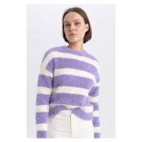 DEFACTO Regular Fit Crew Neck Knitwear Sweater