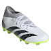 Kopačky Adidas Predator Accuracy 3 FG Jr