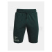 Kraťasy Under Armour Pjt Rock Terry Iron hort-GRN