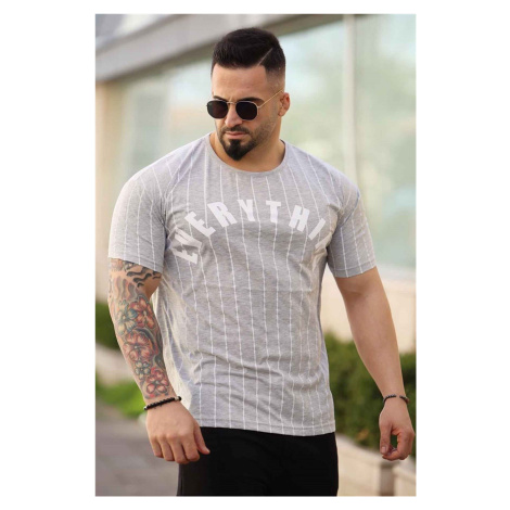 Madmext Striped Printed Gray T-Shirt 3007