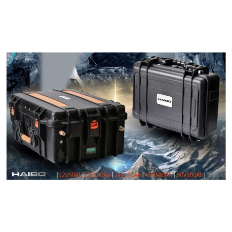 Haibo Baterie LiFEPO4 12V 100Ah