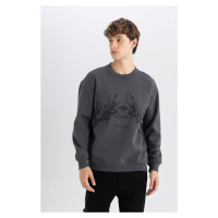 DEFACTO Boxy Fit Crew Neck Printed Sweatshirt