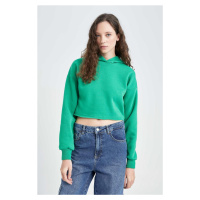 DEFACTO Hooded Basic Crop Basic Sweatshirt