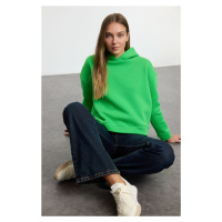 Trendyol Green Regular/Normal Fit Basic Hooded Thick Inside Fleece Knitted Sweatshirt