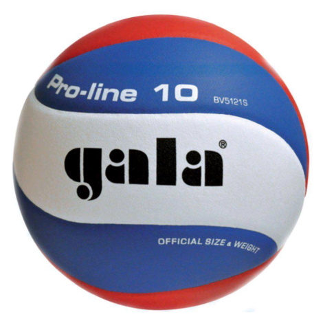 Volejbalový míč GALA Pro Line 5121S