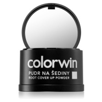 Colorwin Pudr pudr na vlasy pro objem a zakrytí šedin odstín Light Brown 3,2 g
