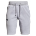 Under Armour Rival Cotton Shorts Šedá