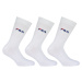 Fila 3 PACK - pánské ponožky F9630-300