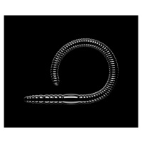 Libra Lures Flex Worm 9,5cm 10ks - Black
