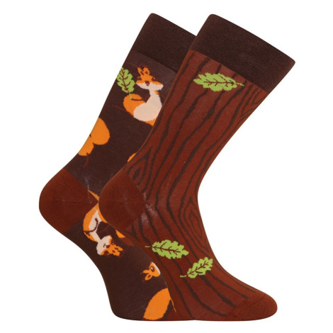 Veselé ponožky Dedoles Veverky (GMRS141) S