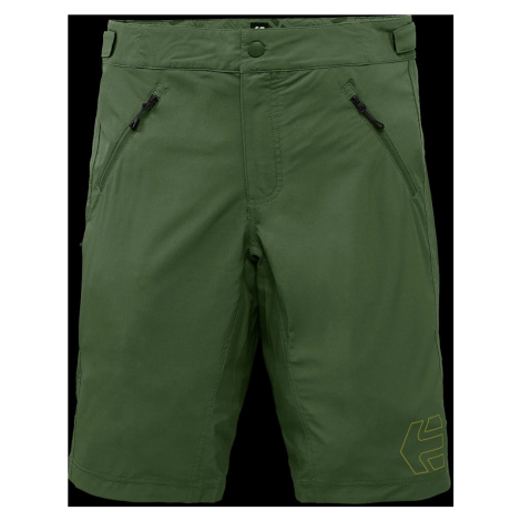 Etnies Pánské kraťasy Big Ride Overshort