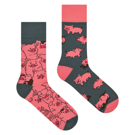 Veselé ponožky Spox Sox Pigs
