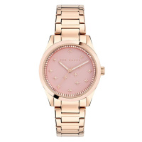 Hodinky Ted Baker zlatá barva, BKPCLF407