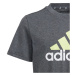 Tričko adidas Big Logo Tee Jr IJ6286