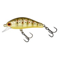 Gunki Wobler Rodan 4cm SHW - Wild Trout