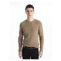 LC Waikiki Crew Neck Long Sleeve Men's Knitwear Sweater