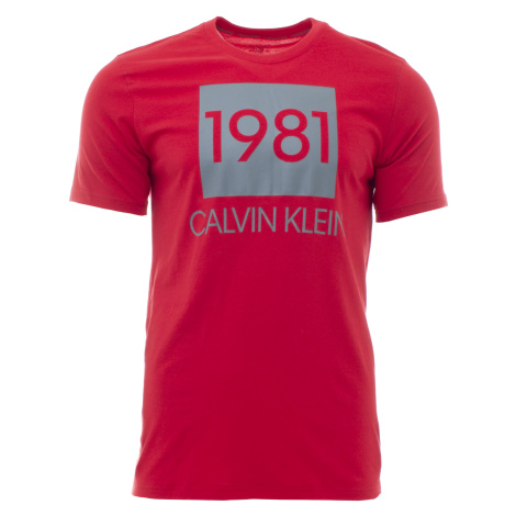 Calvin Klein Pánské trièko s krátkým rukávem