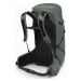 Osprey SPORTLITE 30 pine leaf green