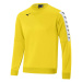 Mizuno Nara Training Sweat Jr