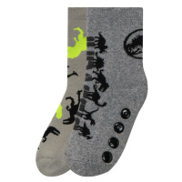 Chlapecké ponožky, 2 páry (Jurský park)