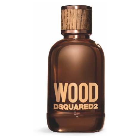 DSQUARED2 Wood pour Homme toaletní voda pro muže 100 ml Dsquared²