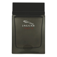 Jaguar Vision III toaletní voda pro muže 100 ml