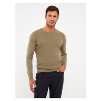 LC Waikiki Crew Neck Long Sleeve Men's Knitwear Sweater