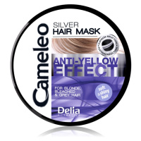 Delia Cosmetics Cameleo Silver maska na vlasy neutralizující žluté tóny 200 ml