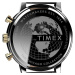 Timex Chicago TW2U39100