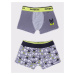 Yoclub Kids's 2Pack Boy's Boxer Briefs BMB-0018C-AA30