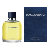 Dolce & Gabbana Pour Homme 2012 - EDT 75 ml