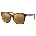 Armani Exchange AX4105SF/82135A