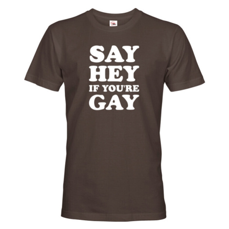 Pánské tričko s potiskem Say hey if you are gay - LGBT pánské tričko BezvaTriko